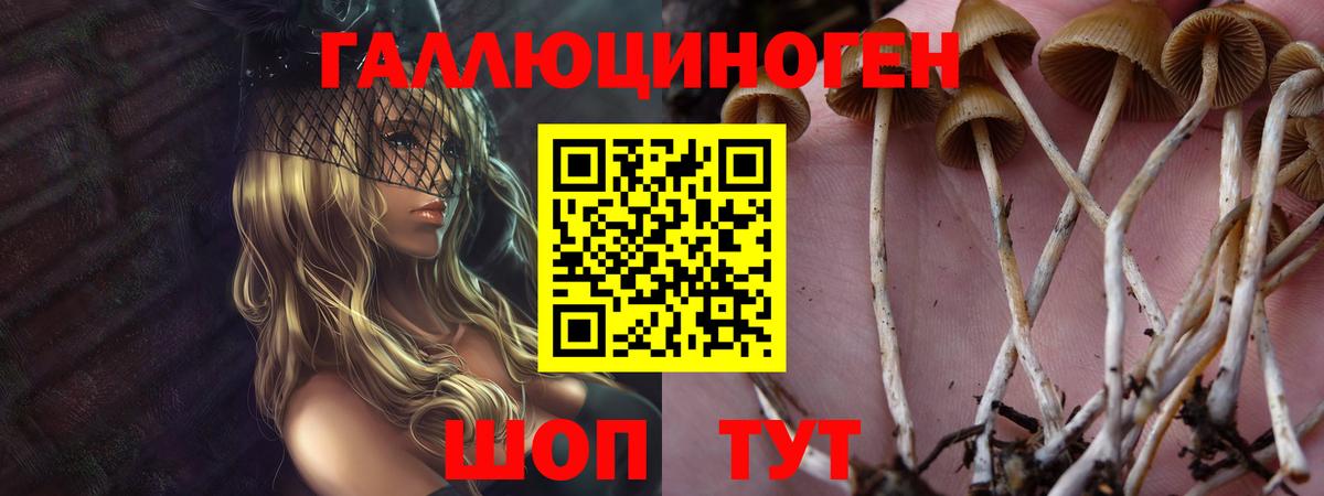 Череповец  Галлюциногенные грибы прущие грибы  Вход с VPN  Псилоцибиновые грибы GOLDEN TEACHER 
